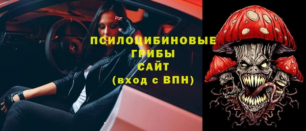 ПСИЛОЦИБИНОВЫЕ ГРИБЫ Алексеевка