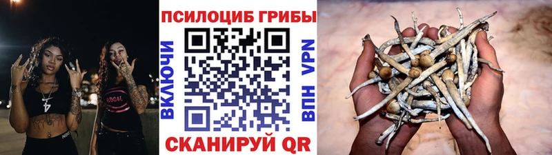 Галлюциногенные грибы Magic Shrooms  купить наркотик  Агрыз 